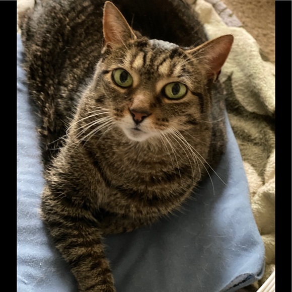 R.I.P. Junebug 😭 01/28/21 - Picture 6 of 16